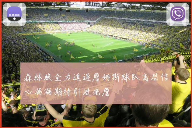 森林狼全力追逐詹姆斯球队高层信心满满期待引进老詹